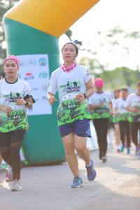 BIB: 
                            <button type="button" onclick="openModal(3648956)" class="btn btn-primary btn-sm float-right btn-popup" data-toggle="modal" data-target=".modal-high-quality">
                        <i class="fas fa-shopping-cart"></i> Add to Cart
                    </button>
                                            <button type="button" onclick="isThisMe(3648956, true)" class="btn btn-success btn-sm float-right btn-popup btn-isme hidden" data-toggle="tooltip" data-placement="bottom" title="นี่คือรูปของคุณใช่ไหม คลิกที่นี่เพื่อเอาเข้าอัลบั้ม">
                        <i class="fas fa-plus"></i> Add to album
                    </button>
                    <button type="button" onclick="isThisMe(3648956, false)" class="btn btn-warning btn-sm float-right btn-popup btn-isnotme hidden">
                        <i class="fas fa-ban"></i> Remove from album
                    </button>